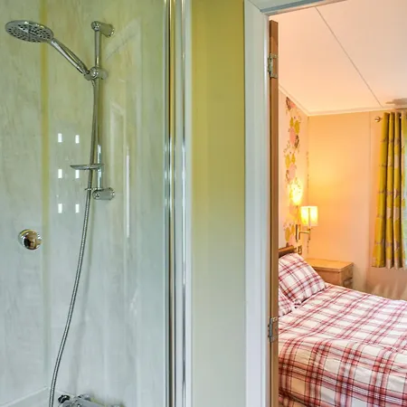 Bears Dom wakacyjny *